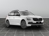 Skoda Kamiq 1.0 tsi 95cv selection