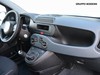 Fiat Panda 1.0 firefly hybrid 70cv s&s