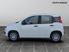 Fiat Panda 1.0 firefly hybrid 70cv s&s