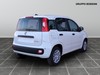 Fiat Panda 1.0 firefly hybrid 70cv s&s
