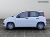 Fiat Panda 1.0 firefly hybrid 70cv s&s