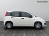 Fiat Panda 1.0 firefly hybrid 70cv s&s 5p.ti