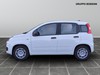 Fiat Panda 1.0 firefly hybrid 70cv s&s 5p.ti