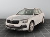 Skoda Kamiq 1.0 tsi 115cv selection