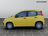 Fiat Panda 1.0 firefly hybrid 70cv s&s