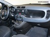 Fiat Panda 1.0 firefly hybrid 70cv s&s