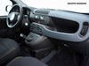 Fiat Panda 1.0 firefly hybrid 70cv s&s