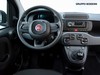 Fiat Panda 1.0 firefly hybrid 70cv s&s