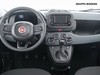 Fiat Panda 1.0 firefly hybrid 70cv s&s 5p.ti