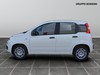 Fiat Panda 1.0 firefly hybrid 70cv s&s
