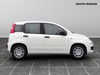 Fiat Panda 1.0 firefly hybrid 70cv s&s 5p.ti