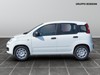 Fiat Panda 1.0 firefly hybrid 70cv s&s