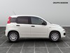 Fiat Professional Panda van 1.0 hybrid 70cv 2p.ti serie 9