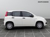 Fiat Panda 1.0 firefly hybrid 70cv s&s 5p.ti