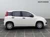 Fiat Panda 1.0 firefly hybrid 70cv s&s 5p.ti
