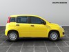 Fiat Panda 1.0 firefly hybrid 70cv pop s&s