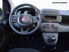 Fiat Panda 1.0 firefly hybrid 70cv s&s