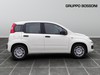 Fiat Panda 1.0 firefly hybrid 70cv s&s 5p.ti