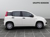 Fiat Panda 1.0 firefly hybrid 70cv s&s 5p.ti