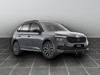 Skoda Kamiq 1.0 tsi 115cv selection dsg