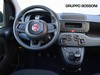 Fiat Panda 1.0 firefly hybrid 70cv s&s