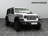Jeep Wrangler unlimited 2.0 atx phev rubicon 4xe auto