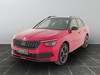 Skoda Kamiq 1.0 tsi 110cv monte carlo