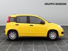 Fiat Panda 1.0 firefly hybrid 70cv s&s