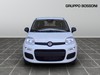 Fiat Panda 1.0 firefly hybrid 70cv pop s&s
