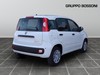 Fiat Panda 1.0 firefly hybrid 70cv pop s&s