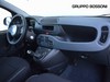 Fiat Panda 1.0 firefly hybrid 70cv pop s&s