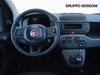 Fiat Panda 1.0 firefly hybrid 70cv pop s&s