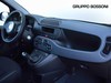 Fiat Panda 1.0 firefly hybrid 70cv pop s&s