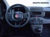 Fiat Panda 1.0 firefly hybrid 70cv pop s&s
