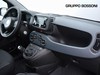 Fiat Panda pandina 1.0 firefly hybrid 70cv icon s&s 5p.ti