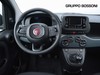 Fiat Panda pandina 1.0 firefly hybrid 70cv icon s&s 5p.ti