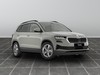 Skoda Karoq 2.0 tdi evo scr 150cv executive 4x4 dsg