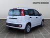 Fiat Panda pandina 1.0 firefly hybrid 70cv icon s&s 5p.ti
