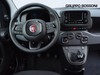 Fiat Panda pandina 1.0 firefly hybrid 70cv icon s&s 5p.ti