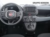 Fiat Panda pandina 1.0 firefly hybrid 70cv s&s 5p.ti