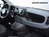 Fiat Panda pandina 1.0 firefly hybrid 70cv icon s&s 5p.ti