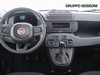 Fiat Panda pandina 1.0 firefly hybrid 70cv pop s&s