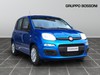 Fiat Panda pandina 1.0 firefly hybrid 70cv pop s&s