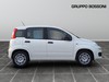 Fiat Pandina 1.0 firefly hybrid 65cv pop s&s