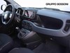 Fiat Panda cross 1.0 firefly hybrid 70cv s&s 5p.ti