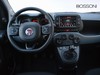 Fiat Panda cross 1.0 firefly hybrid 70cv s&s 5p.ti