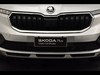 Skoda Kamiq 1.0 tsi 95cv selection