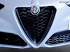 Alfa Romeo Stelvio 2.2 turbo 210cv veloce q4 at8