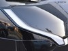 Kia PV5 Passenger passenger 71,2kwh earth