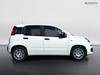 Fiat Pandina 1.0 firefly hybrid 65cv icon s&s